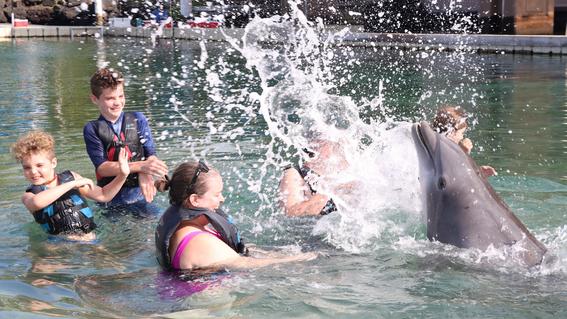 Harrison and his family being splashed during their dolphin swim